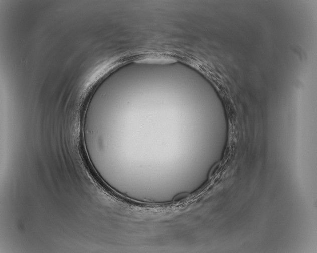 X0000112970005200909101703