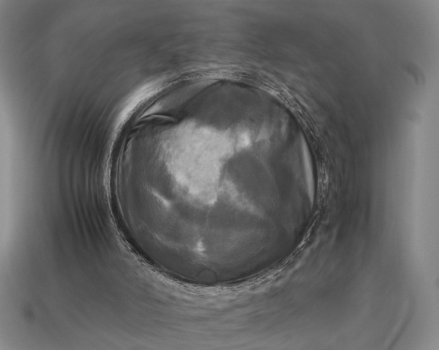 X0000112970006200909101703