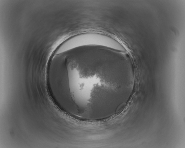 X0000112970008200909101703