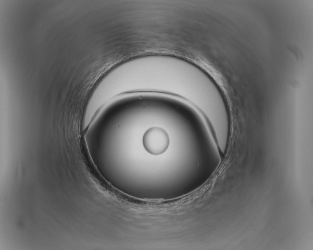 X0000112970009200909101703