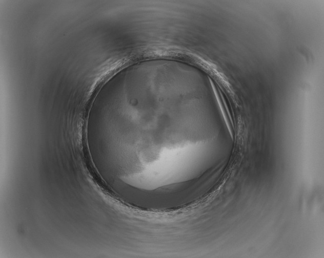 X0000112970010200909101703