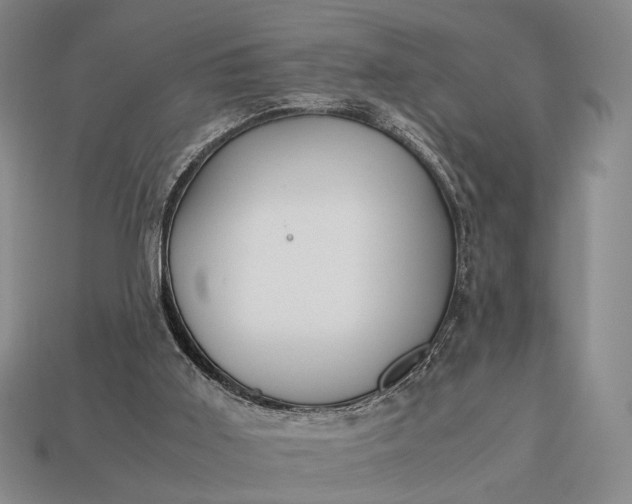 X0000112970011200909101703