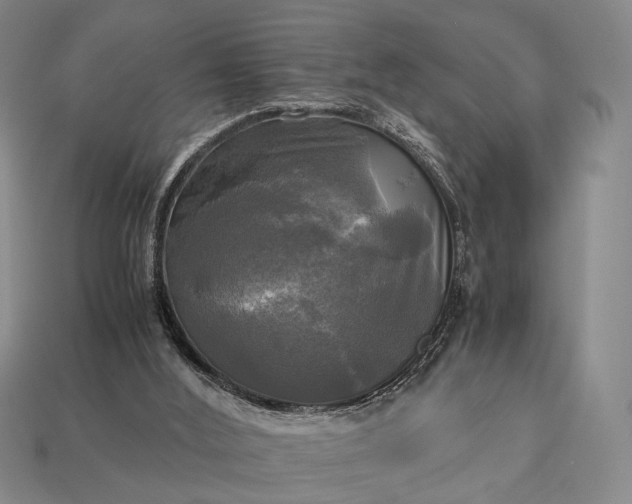 X0000112970012200909101703