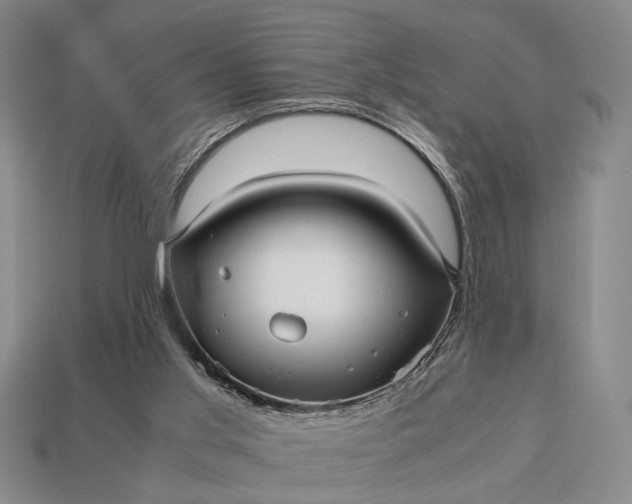 X0000112970013200909101703