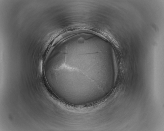 X0000112970014200909101703