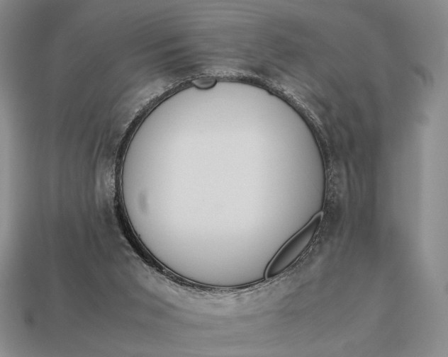 X0000112970015200909101703