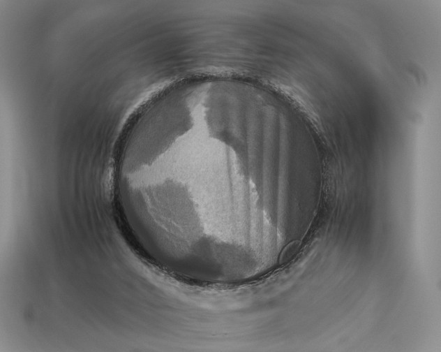 X0000112970016200909101703