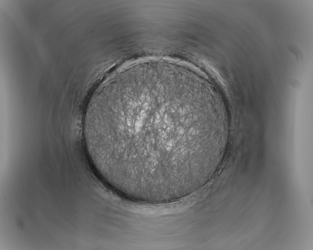 X0000112970017200909101703