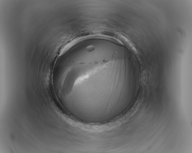 X0000112970018200909101703