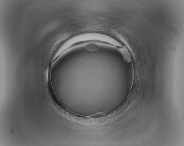 X0000112970019200909101702