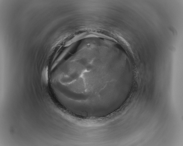 X0000112970020200909101702