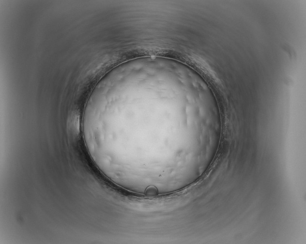 X0000112970021200909101702