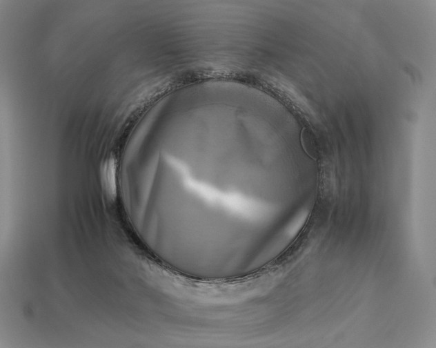 X0000112970022200909101702