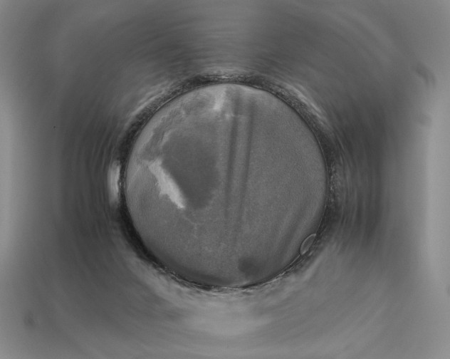 X0000112970024200909101702