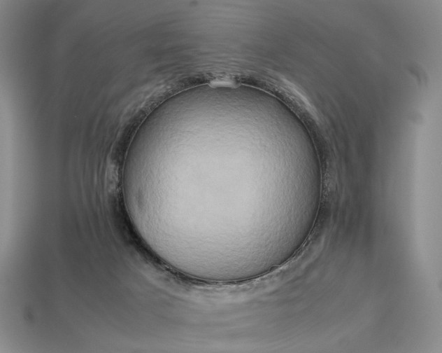 X0000112970025200909101702