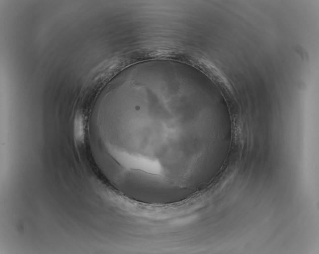 X0000112970026200909101702