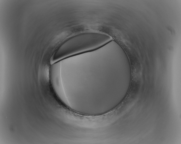 X0000112970027200909101702