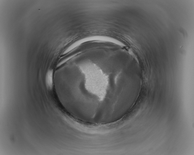 X0000112970028200909101702