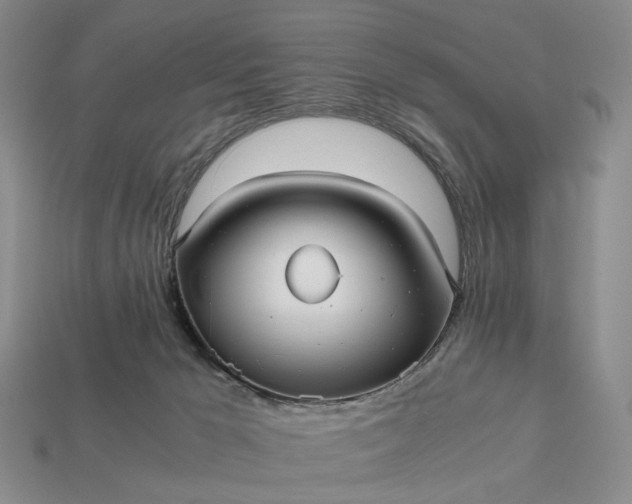 X0000112970029200909101702