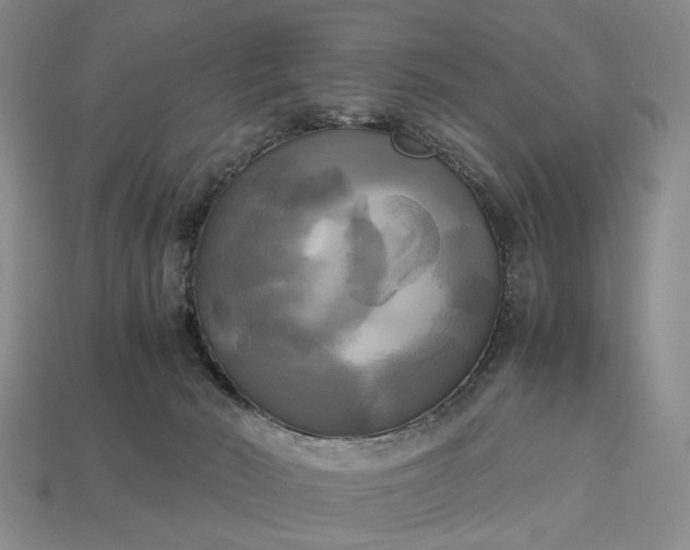 X0000112970030200909101702