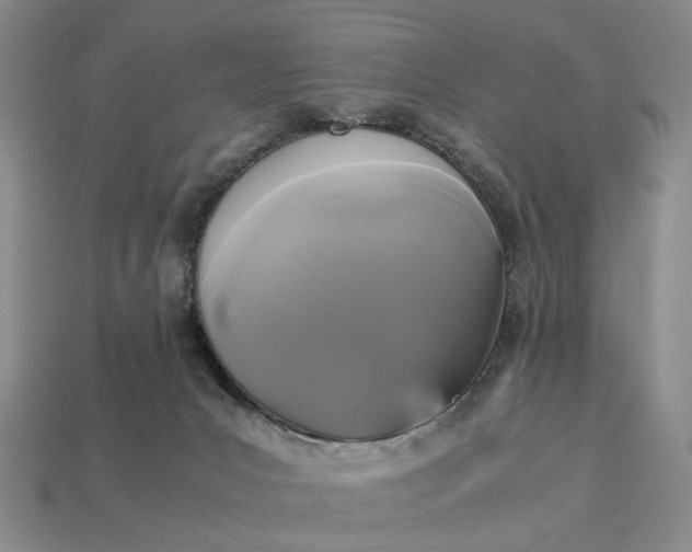 X0000112970031200909101702