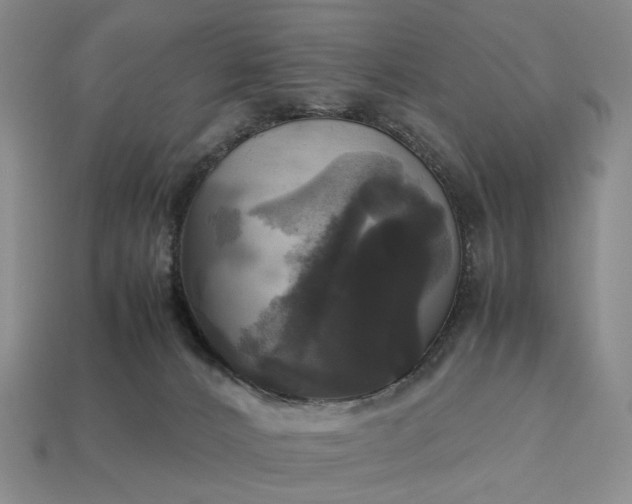 X0000112970032200909101702