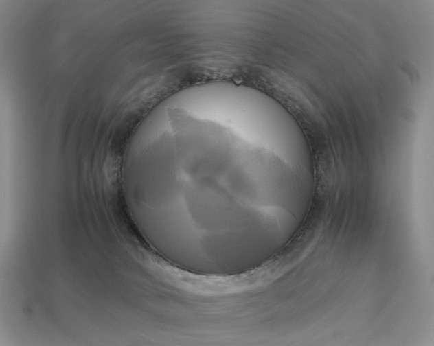 X0000112970034200909101702