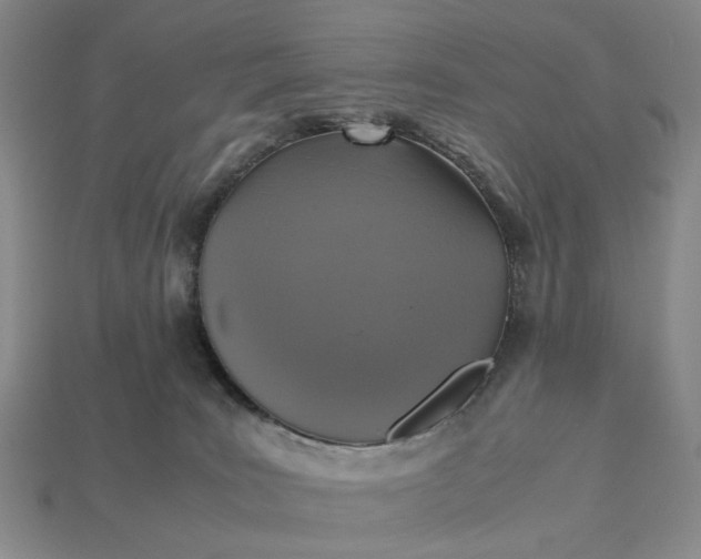 X0000112970035200909101702