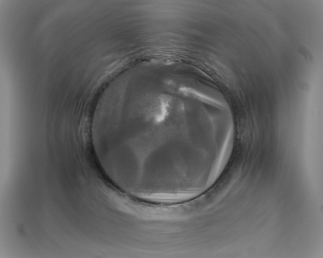 X0000112970036200909101702