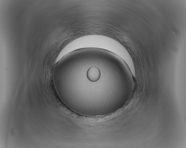 X0000112970037200909101702