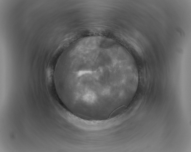 X0000112970038200909101702