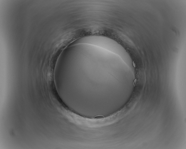 X0000112970039200909101702