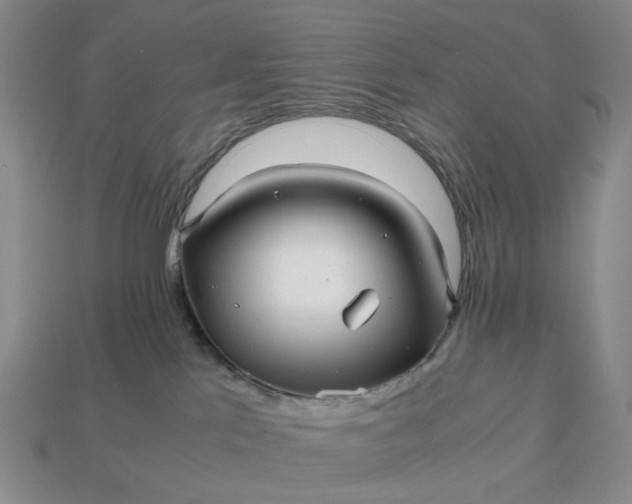 X0000112970041200909101702