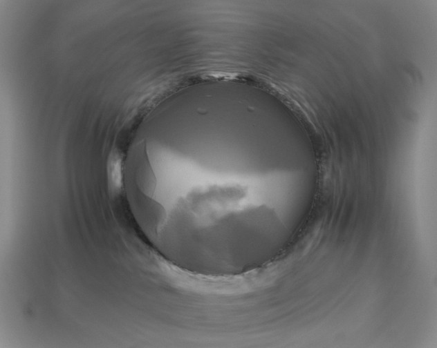 X0000112970042200909101702