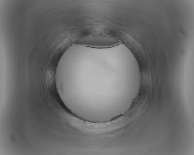 X0000112970043200909101702