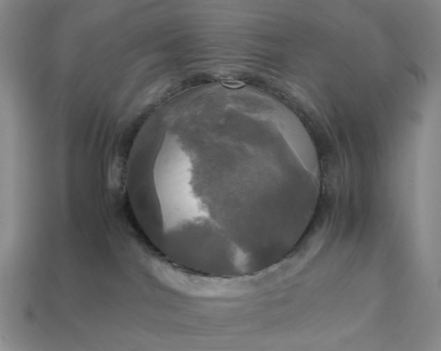 X0000112970044200909101702