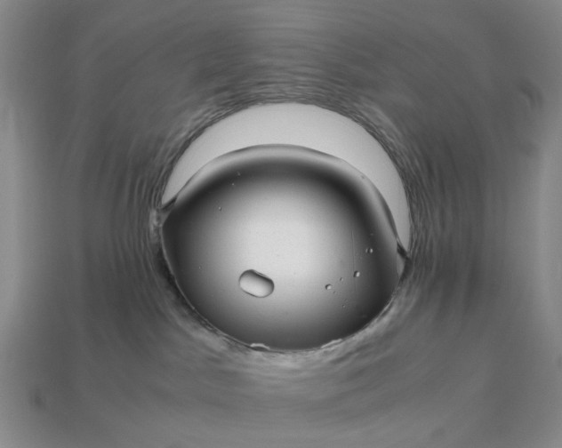 X0000112970045200909101702