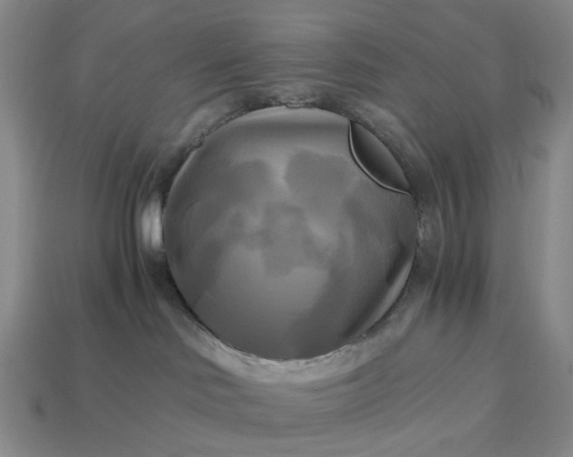 X0000112970046200909101702