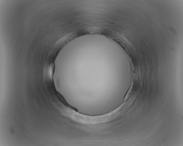 X0000112970047200909101702