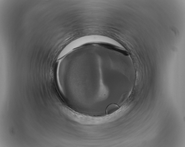 X0000112970048200909101702