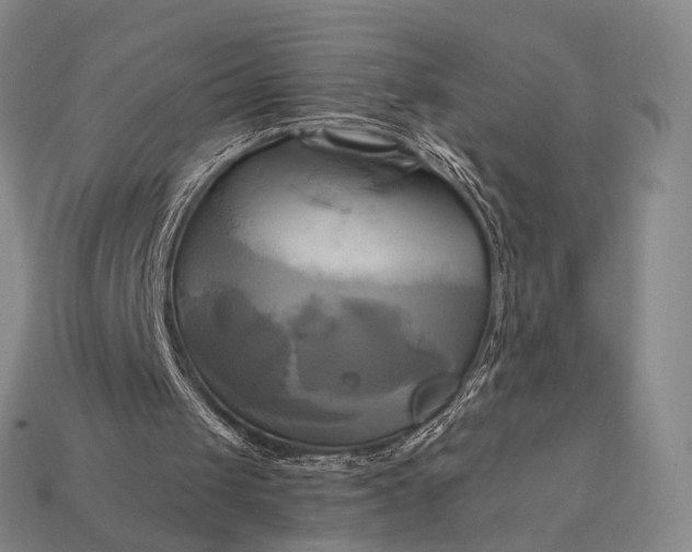 X0000112970049200909101701