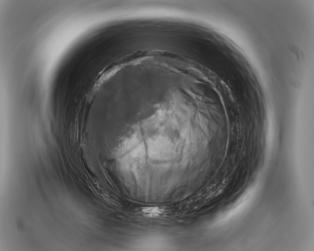 X0000112970050200909101701