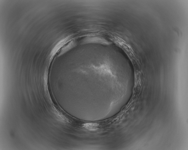 X0000112970051200909101702