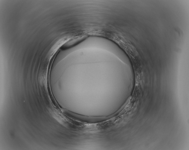 X0000112970052200909101702