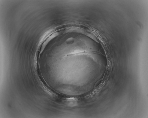 X0000112970053200909101702