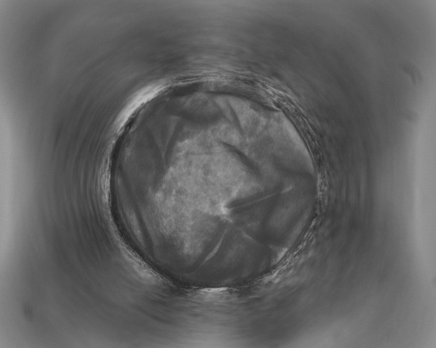 X0000112970054200909101702