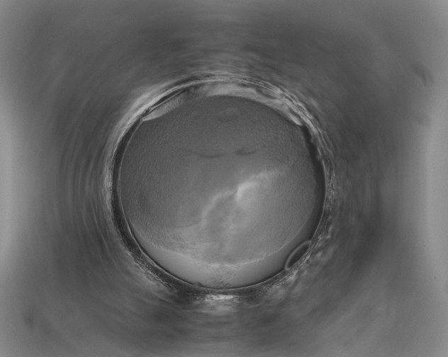 X0000112970055200909101702