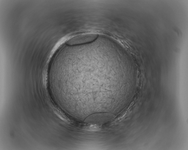 X0000112970056200909101702