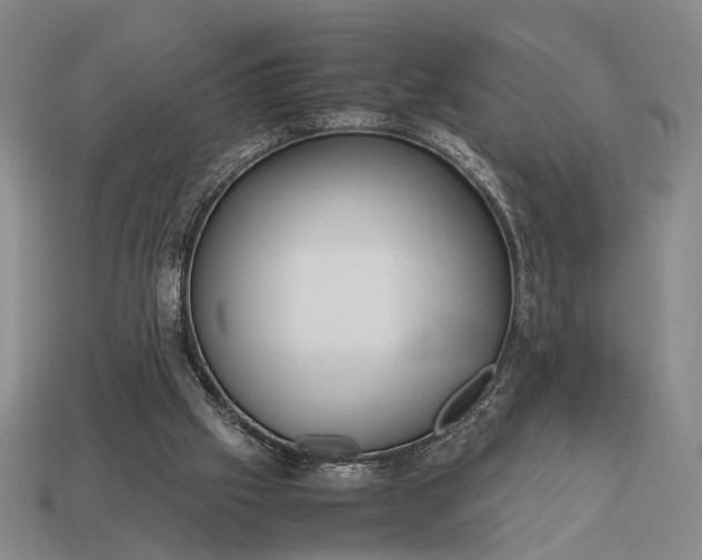 X0000112970057200909101702