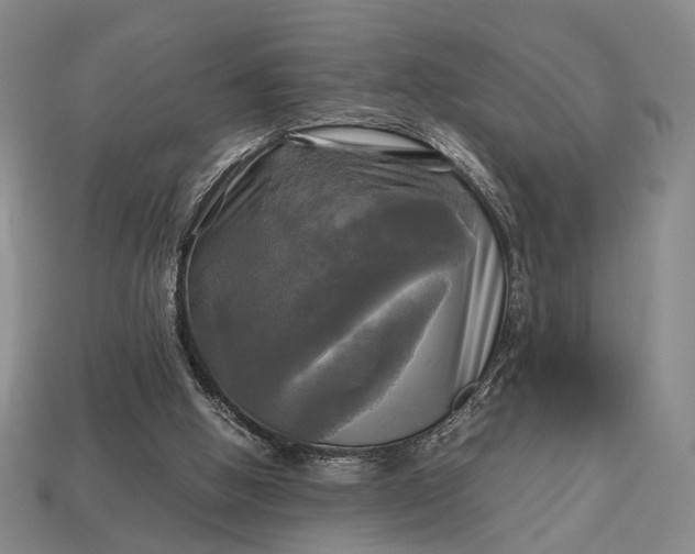 X0000112970058200909101702